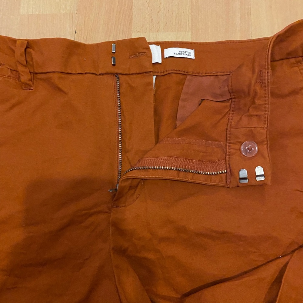 Rust Shorts - Picture 4 of 6